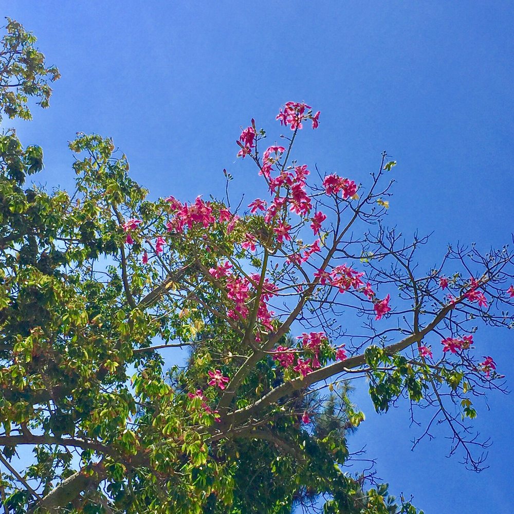 Brand Park - Parks Near Me - Glendale, California