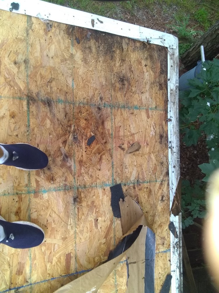 Slide of MV Roofing And Tree Services