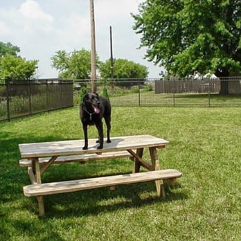 Meadow View Veterinary Clinic - Veterinarians Near Me - Geneva, Illinois Meadow View Veterinary Clinic - Veterinarians Near Me - Geneva, Illinois