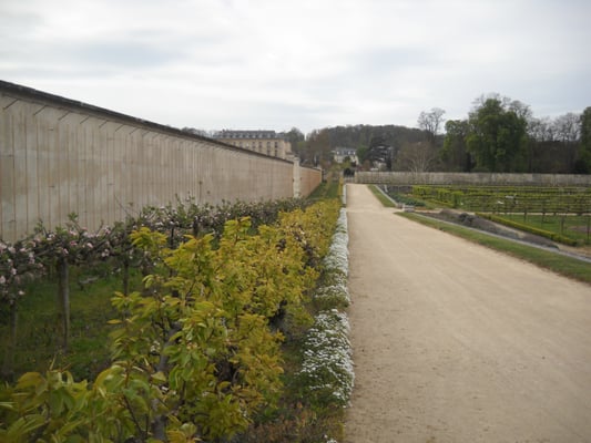 Potager du Roi by null