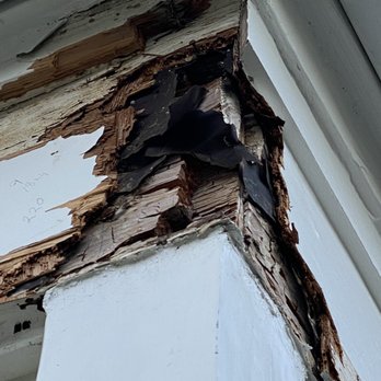 Stratton Termite & Roofing Solutions - Original Damage - General Contractors Near Me Stratton Termite & Roofing Solutions - Original Damage - General Contractors Near Me