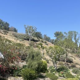 Hillside cleaned up Hillside cleaned up