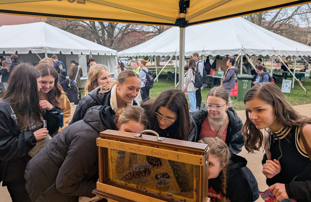 McComBees Apiaries - beekeeping in Yoder, IN
