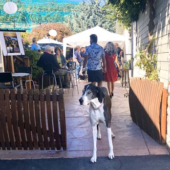 Big Dog Vineyards - Daisy - Venues & Event Spaces Near Me - Milpitas, California