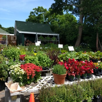 Briermere Farms - Plants - Bakeries Near Me - Riverhead, New York Briermere Farms - Plants - Bakeries Near Me - Riverhead, New York