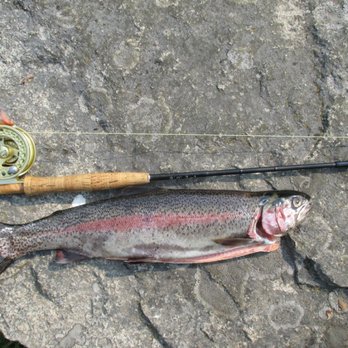 Barrett Custom Fishing Rods - Fish caught with a Barrett Custom fly rod - Outdoor Gear Near Me Barrett Custom Fishing Rods - Fish caught with a Barrett Custom fly rod - Outdoor Gear Near Me