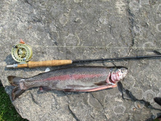 barrett custom fishing rods NFS kind rod barrettrods  Instagram photos and