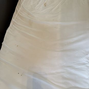 Flagstaff KOA - Used stained sheets - RV Parks Near Me - Flagstaff, Arizona