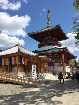 Naritasan Park by null