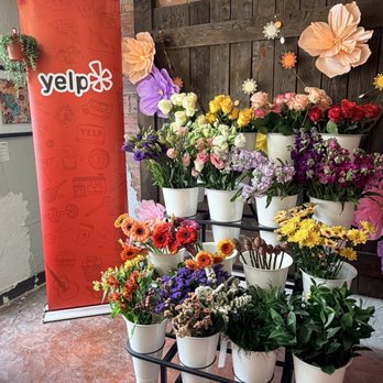 Yelp Community Event: Summer Solstice Soiree - Build your own bouquet Yelp event - Yelp Events Near Me - Fort Worth, Texas Yelp Community Event: Summer Solstice Soiree - Build your own bouquet Yelp event - Yelp Events Near Me - Fort Worth, Texas