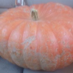 Silver Sage Emporium - Pumpkin