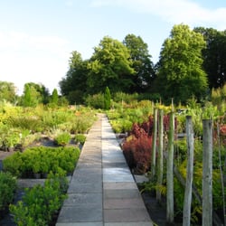 Babylon Plants