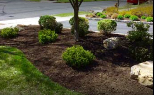 Landscaping Services - Landscaping Services