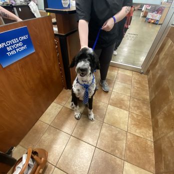 Petco - Bilbo - Pet Stores Near Me - Manassas, Virginia Petco - Bilbo - Pet Stores Near Me - Manassas, Virginia