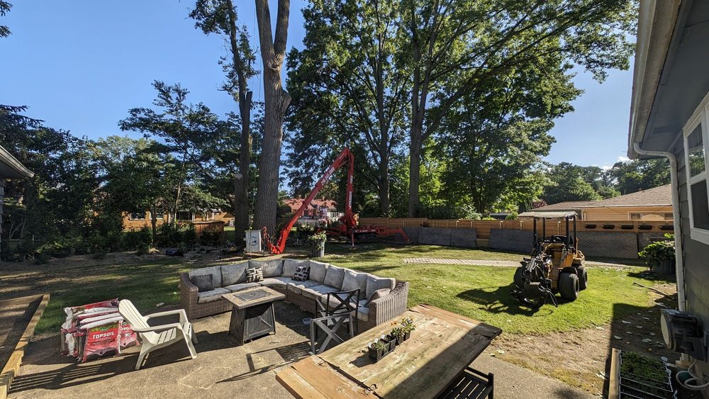 Premier Tree Specialists - tree service in Wickliffe, OH