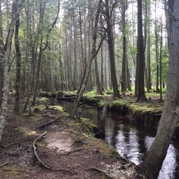 Wading Pines River runs between the campground & Treasure Island