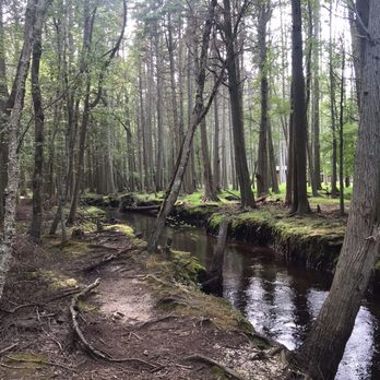 Wading Pines Camping Resort - Wading Pines River runs between the campground & Treasure Island - Campgrounds Near Me - Chatsworth, New Jersey Wading Pines Camping Resort - Wading Pines River runs between the campground & Treasure Island - Campgrounds Near Me - Chatsworth, New Jersey