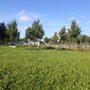 Photo of Miep-Gies-Park