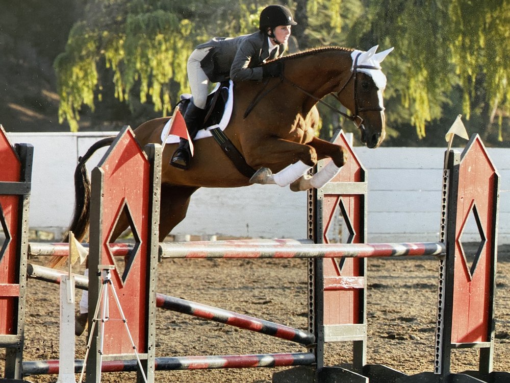 TAYLOR MONJE TRAINING Apache Junction, Arizona Horseback Riding