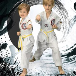 Master Kim's Kum Sung Martial Arts