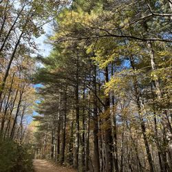 Peters Mill Run