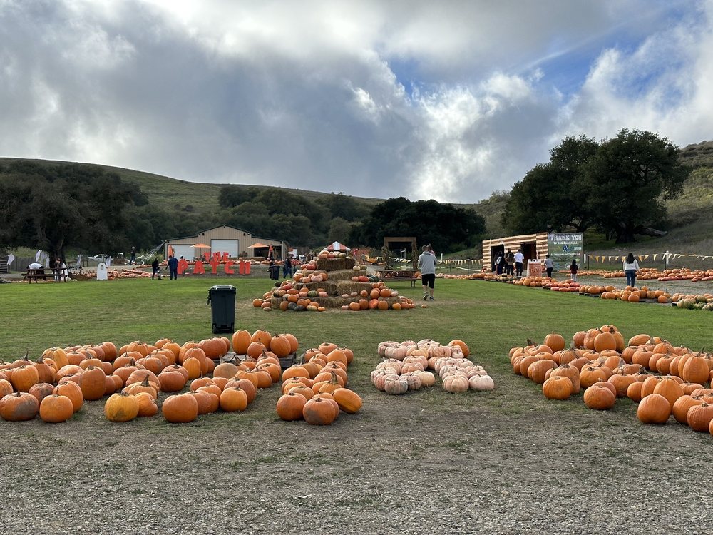 The Patch - Santa Maria