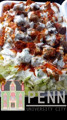 New York Gyro Truck by null