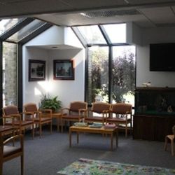 Randy G Raetz, DDS