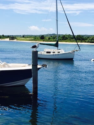 Menemsha Galley by null