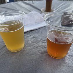 Shady's Tap Room