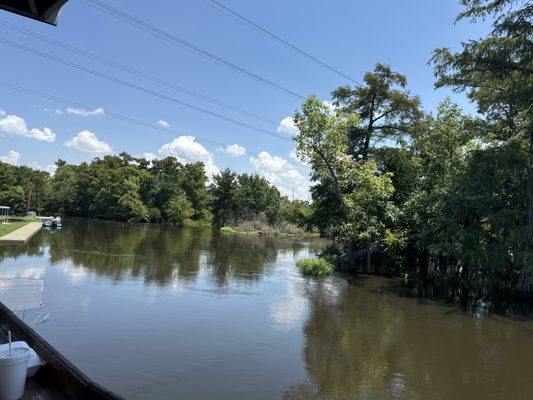 Bluebird Fish Camp by null