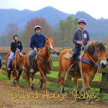 Dillard House Stables - Horseback Riding Near Me - Dillard, Georgia Dillard House Stables - Horseback Riding Near Me - Dillard, Georgia