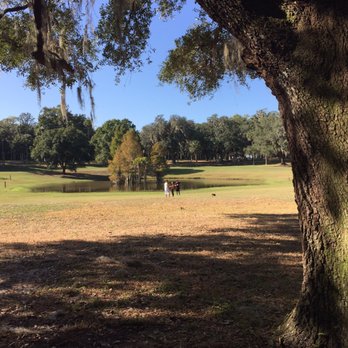 Magnolia Park - Field area - Parks Near Me - Apopka, Florida Magnolia Park - Field area - Parks Near Me - Apopka, Florida