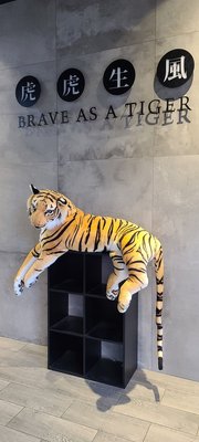 TIGER SUGAR by null