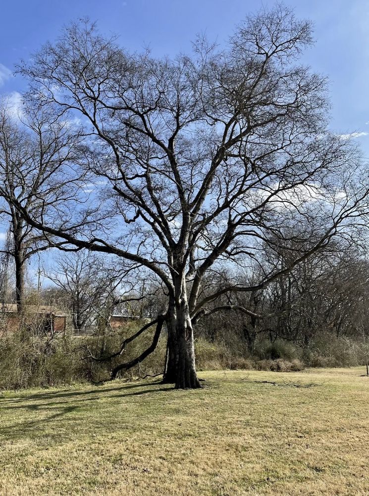 BORDEAUX GARDEN PARK Updated August 2024 800 Snell Blvd, Nashville, Tennessee Parks Yelp