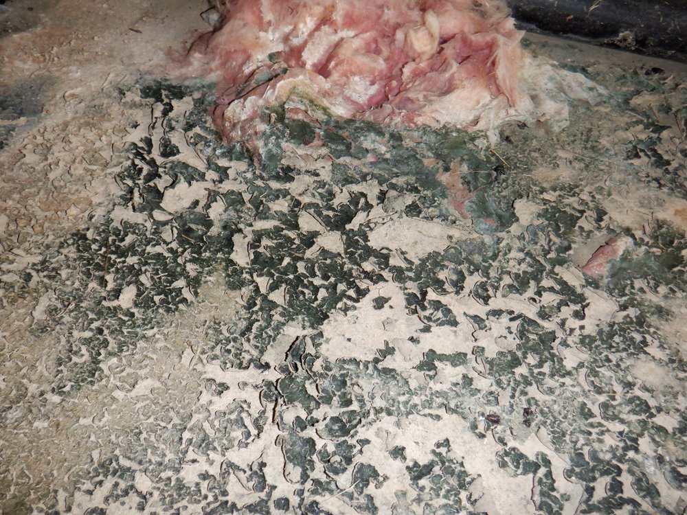 Slide of Floodsmen Disaster Cleanup