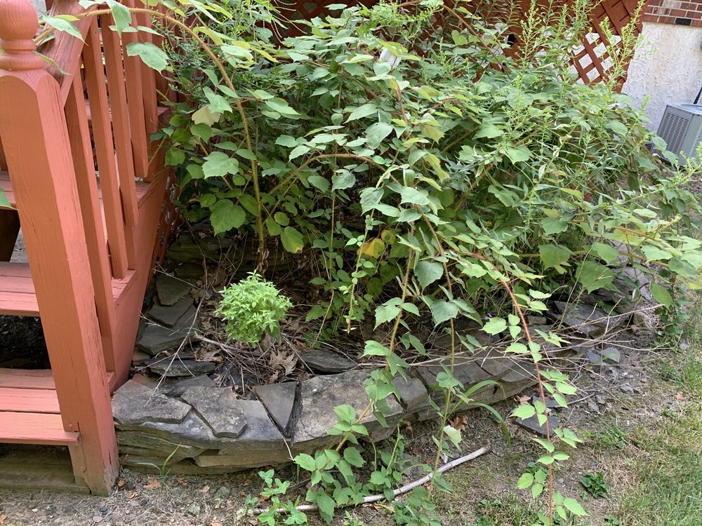 1000 Sandy Hill Rd, Norristown, Pennsylvania Landscaping Phone