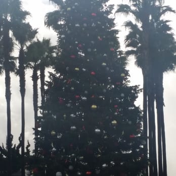 Jack London Square - "Oh Christmas tree, Oh Christmas tree!" - Shopping Centers Near Me - Oakland, California Jack London Square - "Oh Christmas tree, Oh Christmas tree!" - Shopping Centers Near Me - Oakland, California
