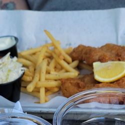 Stray Dog - Yummy fish and chips!!!