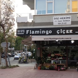 Flamingo  Çiçek
