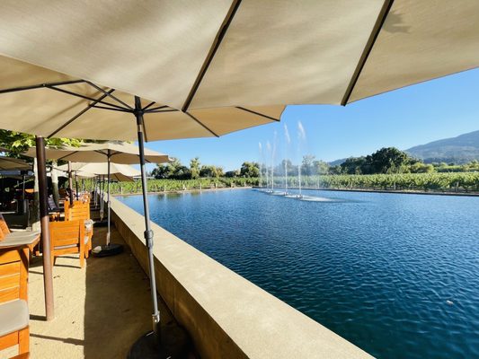 Alpha Omega Winery by null