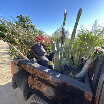 Evans Lane Nursery - Amazing selections here! Great service and great prices - Nurseries & Gardening Near Me - Desert Hot Springs, California