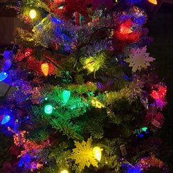Winter Springs Christmas Trees - Noble Fir tree decorated.