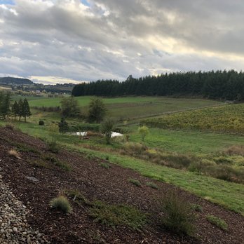 Domaine Divio - Wine Tasting Room Near Me - Newberg, Oregon
