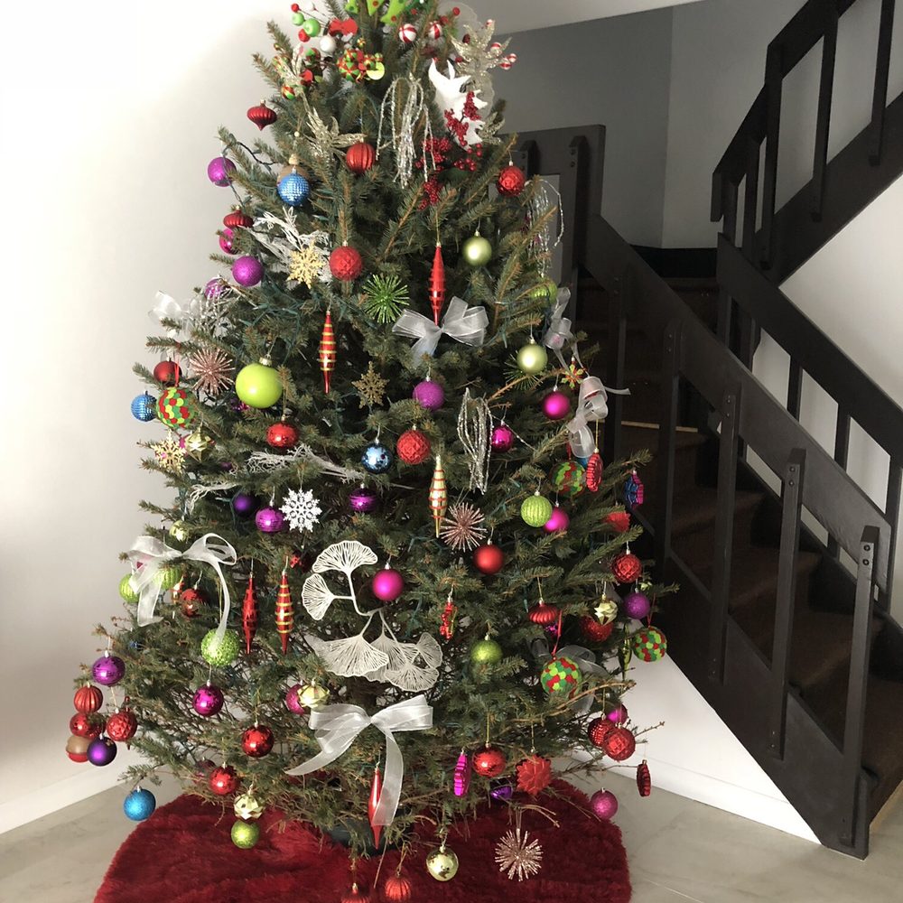 Santas Garden - Christmas Trees Near Me - Miami, Florida Santas Garden - Christmas Trees Near Me - Miami, Florida