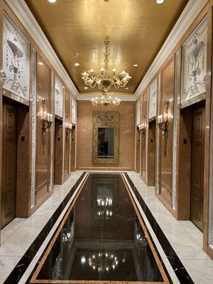 Lotte New York Palace by null