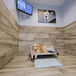 Rover Oaks Pet Resort, Katy