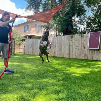 Vetted K9 - Pet Training Near Me - DeLand, Florida Vetted K9 - Pet Training Near Me - DeLand, Florida