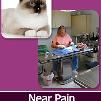 Pet Day Surgery - Veterinarians Near Me - Lebanon, Pennsylvania Pet Day Surgery - Veterinarians Near Me - Lebanon, Pennsylvania