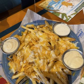 Islands Restaurant - The classic cheddar fries with extra honey mustard - Burgers Near Me - Burbank, California